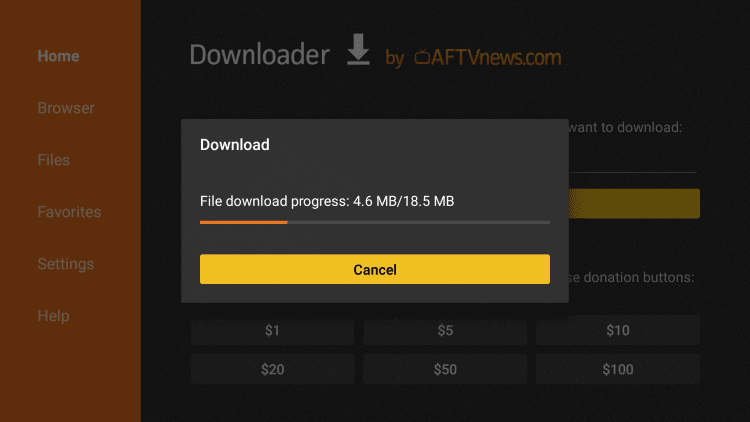 Downloader App on Firestick