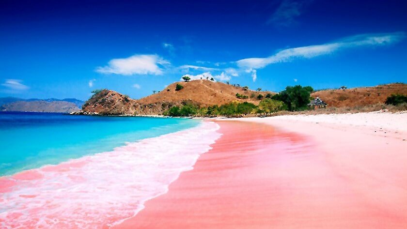 Top 10 Clear Water Beaches - Pink Beach, Komodo National Park, Indonesia